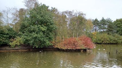 Whittle Hall Duck Pond
